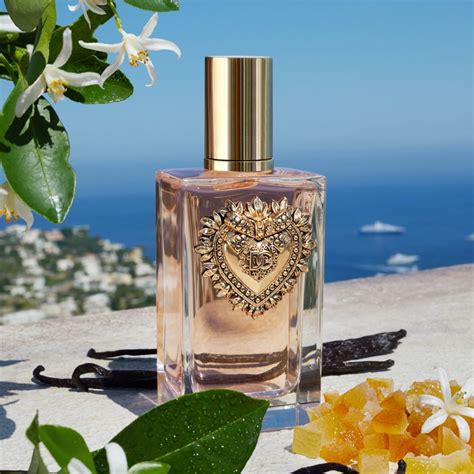 dolce gabbana devotion notino